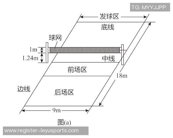 广州排球队配合表现的数据分析与提升策略探讨